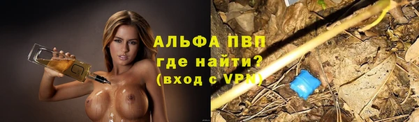 apvp Белокуриха