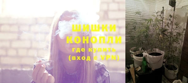 apvp Белокуриха