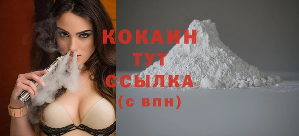 apvp Белокуриха